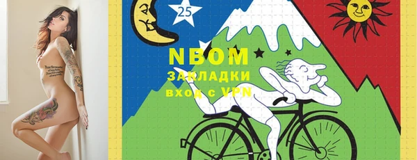 шишки Белокуриха