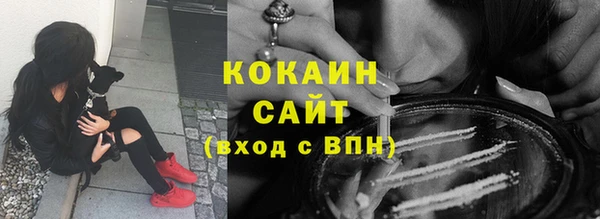 шишки Белокуриха