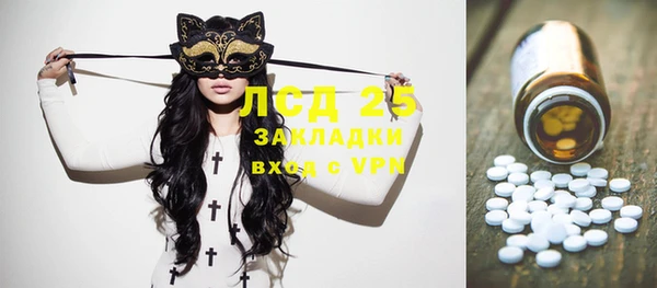 шишки Белокуриха
