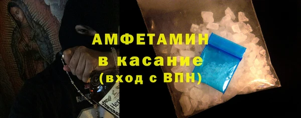 шишки Белокуриха