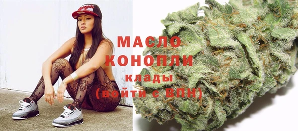 шишки Белокуриха