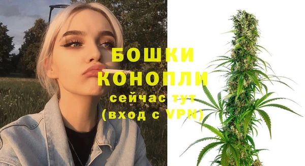 гашик Ростов
