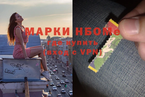 шишки Белокуриха