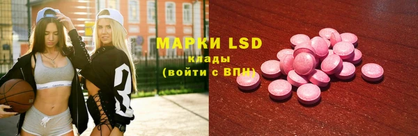 шишки Белокуриха