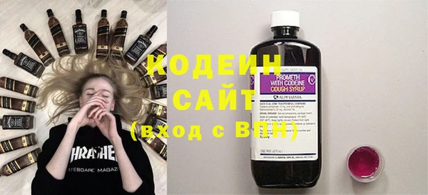 шишки Белокуриха