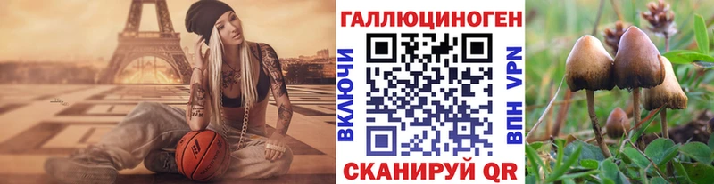 Галлюциногенные грибы MAGIC MUSHROOMS  Михайлов 