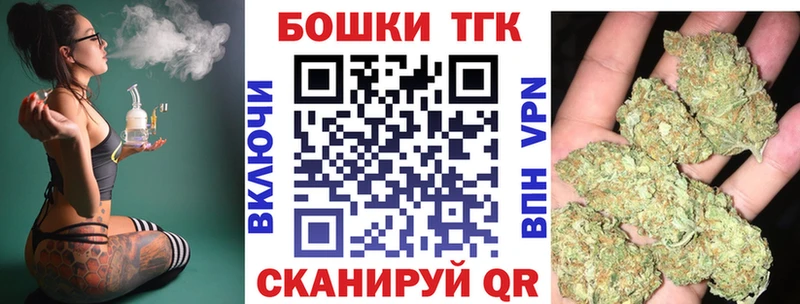 Конопля гибрид  Михайлов 